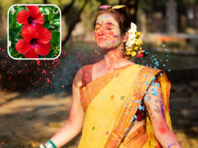 फुलांपासून एका रात्रीत बनवा सुंगधित रंगीबेरंगी Holi 2024 चे कलर्स, स्किन व केसांना केमिकलचा धक्काही लागणार नाही