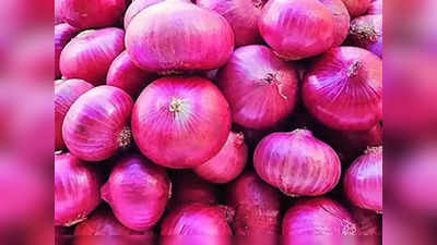 Onion Export: सरकार का बड़ा फैसला, 31 मार्च के बाद भी प्याज का नहीं हो सकेगा निर्यात, जारी रहेगा बैन