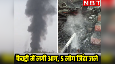 जयपुर : केमिकल फैक्ट्री में लगी भीषण आग, 5 मजदूर जिंदा जले, दो दिन बाद फिर राजधानी में दूसरा बड़ा हादसा