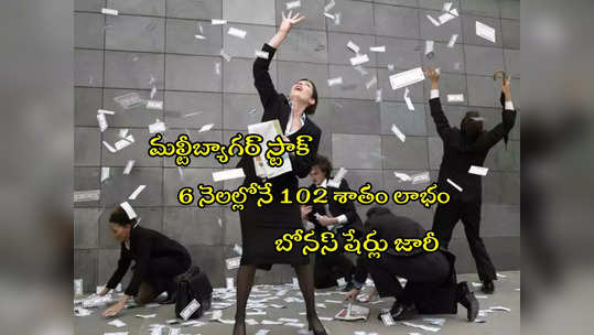 Bonus Issue: అదృష్టం అంటే వీరిదే.. 6 నెలల్లో పెట్టుబడి డబుల్.. ఆపై 1 షేరుకు 1 షేరు ఫ్రీ ఇచ్చిన కంపెనీ! 