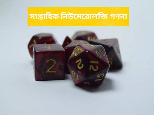 Weekly Numerology Bhavishyavani: এই তারিখগুলোয় জন্ম যাঁদের চলতি সপ্তাহে পাবেন ভাগ্যলক্ষ্যীর আশীর্বাদ, জানাচ্ছে নিউমেরোলজি