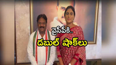 YSRCP: వైసీపీకి బిగ్ షాక్.. కాంగ్రెస్ పార్టీలోకి మరో ఎమ్మెల్యే 