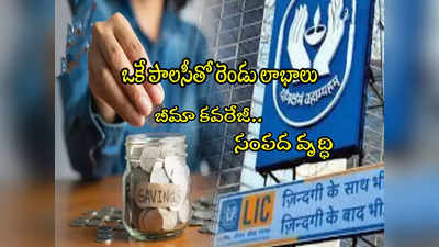 LIC Policy: ఒకే పాలసీతో 2 బెనిఫిట్స్.. 10 రెట్లు బీమా.. సంపద వృద్ధి.. ఎలాగంటే?