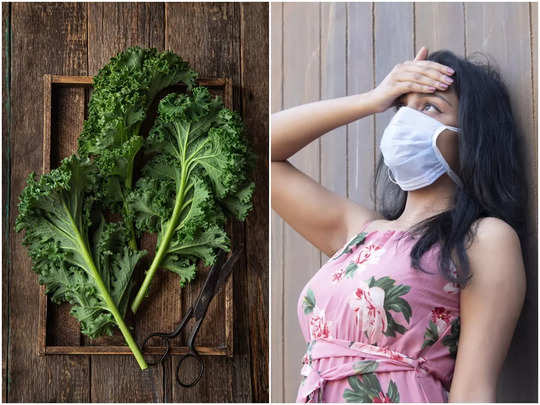 Kale Benefits: ইমিউনিটিকে চাঙ্গা রাখবে এই শাক, রোজ খেলেই ভয় থাকবে না সর্দি-কাশির ফাঁদে পড়ার!