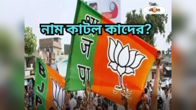 BJP 5th List : বাদ ৩৭ সাংসদ! বিজেপির নয়া প্রার্থীতালিকায় কোন কোন হেভিওয়েটের টিকিটে কাঁচি?