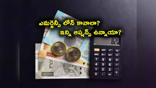 Emergency Loan: అత్యవసరంగా డబ్బు కావాలా.. PPF, మ్యూచువల్ ఫండ్లు, FD లపై లోన్లు.. ఈ ఆప్షన్స్ చూడండి! 