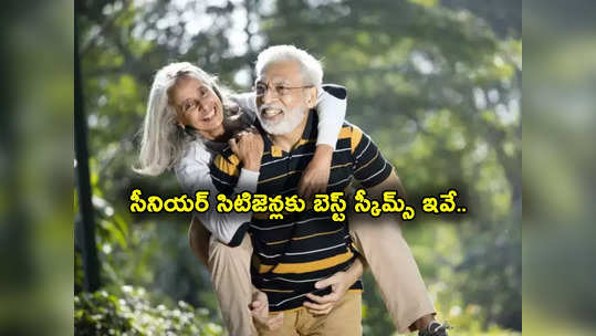 Senior Citizens: సీనియర్ సిటిజెన్లకు మోదీ సర్కార్ బెస్ట్ స్కీమ్స్.. ఈ నాలుగు కేంద్ర పథకాలు ఆసరాగా..! 