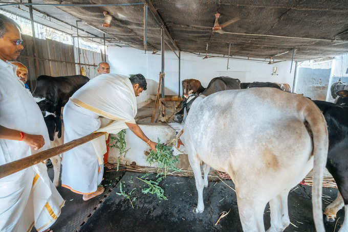 தேர்தலை முன்னிட்டு அரசியல் கட்சிகள் தேர்தல் பணிகளில் தீவிரமாக ஈடுபட்டுள்ளன. 