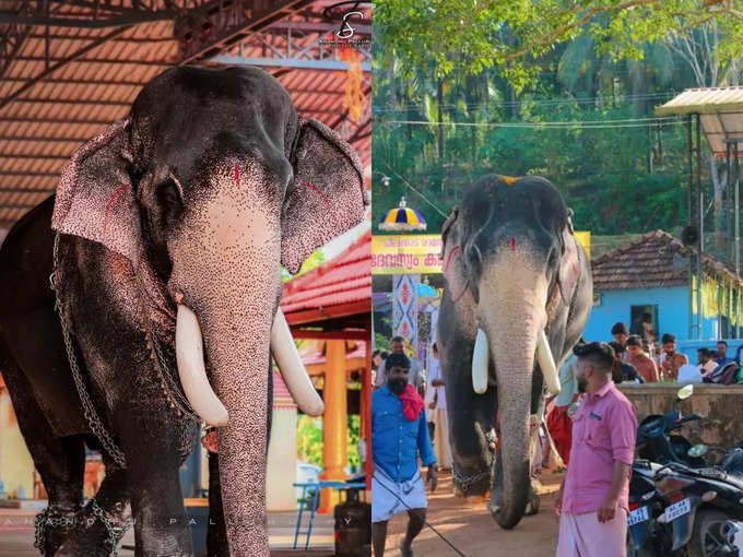 Mangalamkunnu Ayyappan