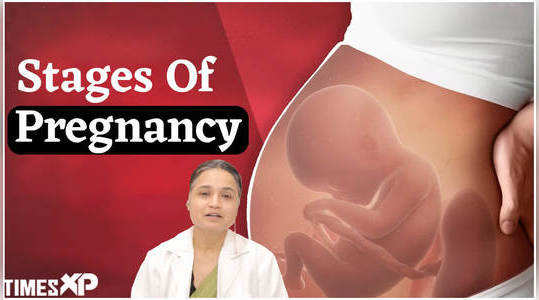 navigating pregnancy insights from expert on key stages and care tips watch video
