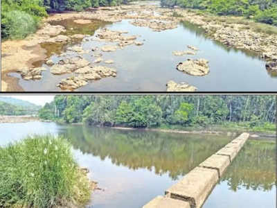 ಕುಂಟಾರಿನಲ್ಲಿ ಜಲ ಕಂಟಕ; ಪಯಸ್ವಿನಿ ನದಿಗೆ ನಿರ್ಮಿಸಿದ ಕಿಂಡಿ ಅಣೆಕಟ್ಟಿನ ಬಾಗಿಲು ಓಪನ್‌