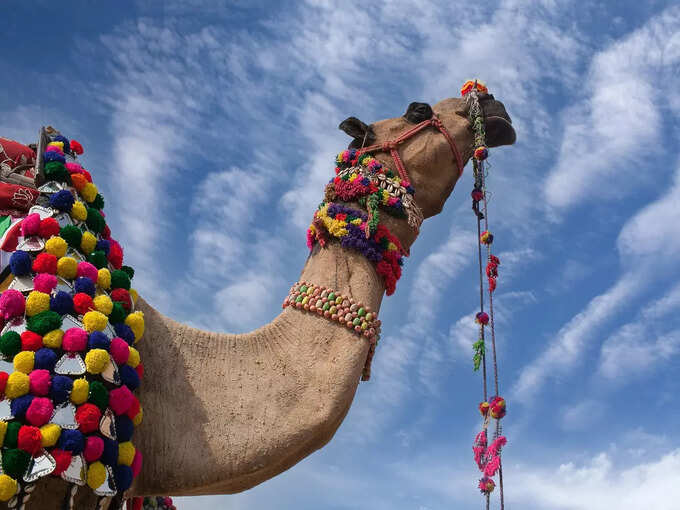 Rural Activities at Golden Dunes Retreat