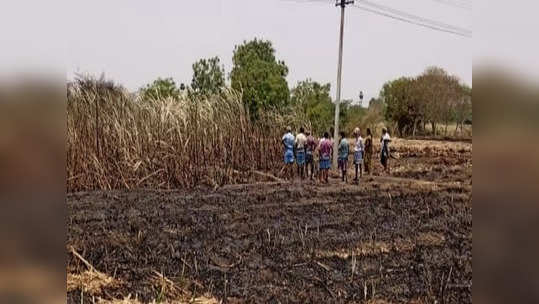 திருச்சி அருகே கரும்பு வயலில் பரவிய தீ... தடுக்கச் சென்ற விவசாயி தீயில் சிக்கி உயிரிழந்தார்