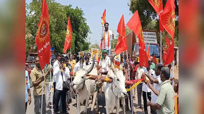 தென்காசி நாம் தமிழர் வேட்பாளர் மாட்டு வண்டியில் வந்து வேட்புமனு தாக்கல்!