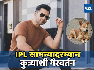 IPL सामन्यादरम्यान ग्राउंड स्टाफचा कुत्र्याला लाथा मारतानाचा व्हिडिओ व्हायरल,वरुण धवनने व्यक्त केला राग