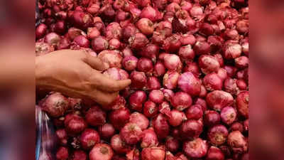 Onion Price: प्याज की कमी से डरी केंद्र सरकार, मुसीबत से पहले बफर स्टॉक बनाने की तैयारी, बड़ा प्लान
