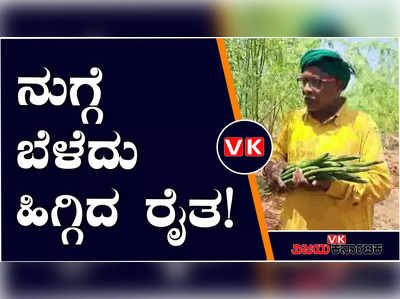 ಮೂಢನಂಬಿಕೆಯ ಕಾರಣ ನುಗ್ಗೆಕಾಯಿ ಬೆಳೆಯೋಕೆ ಹಲವು ರೈತರು ಹಿಂದೇಟು, ಮೌಢ್ಯ ದಾಟಿದ ಹಾವೇರಿ ರೈತ