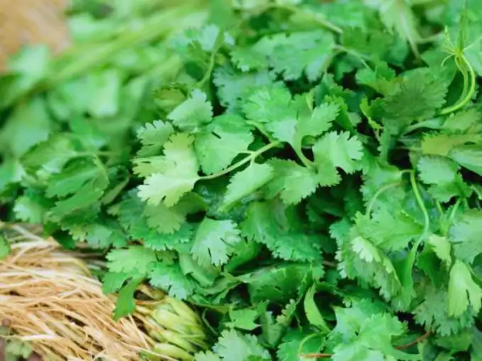 सुंदर त्वचा मिळण्यासाठी