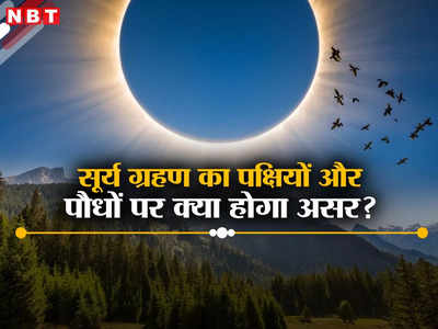 सूर्य ग्रहण चिड़ियों के लिए होता है रात जैसा, चमकने लगते हैं जुगनू, 8 अप्रैल को पौधों पर दिखेगा ये असर