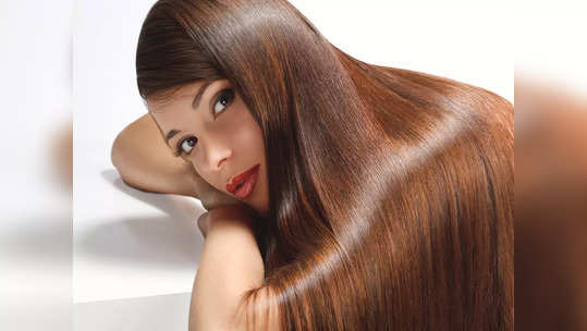 Ayurveda For Hair: এক ঢাল ঘন ও লম্বা চুলের রহস্য লুকিয়ে রয়েছে আয়ুর্বেদেই! শুধু জেনে নিন এই বিশেষ ট্রিক 