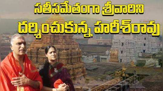 ex minister harish rao visit tirumala sri venkateswara swamy temple