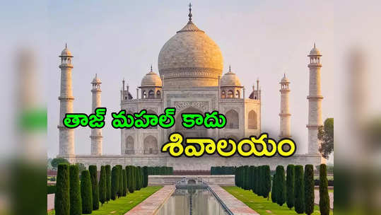 Taj Mahal: తాజ్‌మహల్‌ను శివాలయంగా ప్రకటించండి.. కోర్టులో కొత్త పిటిషన్ 