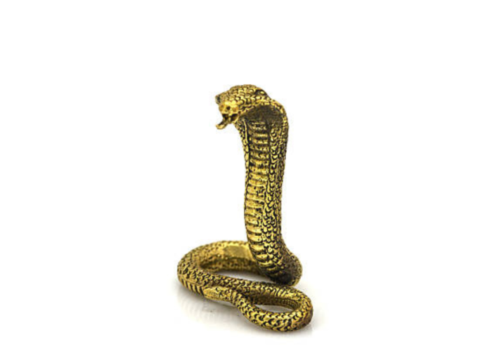 Naga