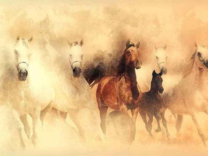 Seven Horse Painting