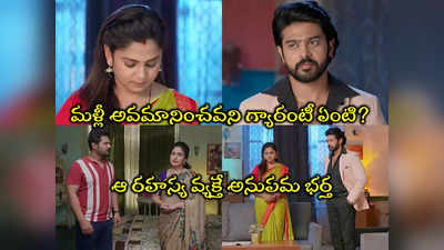 Guppedantha Manasu: వసుధారని కడిగిపారేసిన మను.. చేసిన తప్పుకి తలదించుకున్న వసు 