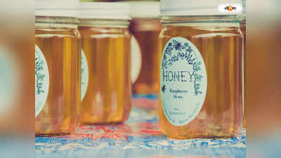 Honey Collectors : বনবিবির মন্দিরে পুজো দিয়ে মধু সংগ্রহে রওনা দিলেন ৪৩০ মৌলে