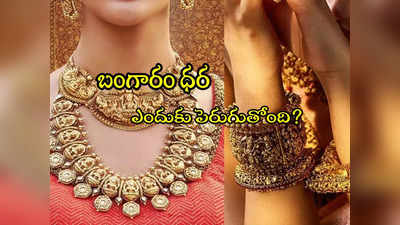 Gold Price: బంగారం ధర ఇంతలా ఎందుకు పెరుగుతోంది? హైదరాబాద్‌లో తులం ధర ఎంతుంది?