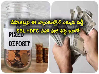 SBI, HDFC, ICICI, AXIS.. ఏ బ్యాంకులో డిపాజిట్లపై వడ్డీ రేట్లు ఎలా? 21 బ్యాంకుల ఫుల్ లిస్ట్ ఇదే..