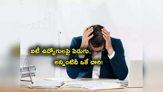 Tech Layoffs: దిక్కుతోచని స్థితిలో IT ఉద్యోగులు.. షాకిస్తున్న దిగ్గజ కంపెనీలు.. ఫుల్ లిస్ట్ ఇదే! 