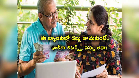 Tax Saving FD: సీనియర్ సిటిజెన్లకు బెస్ట్.. పన్ను ఆదా FD లపై 7.75 శాతం వడ్డీ.. ఫుల్ లిస్ట్ ఇదే.. 