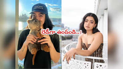 Rashmika Birthday: రష్మిక ఫ్యాన్స్‌కి గుడ్ న్యూస్.. బర్త్‌డేకి ఊహించని సర్‌ప్రైజ్ 