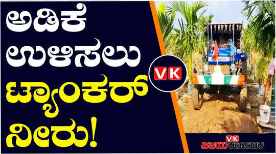 arecanut plantation in haveri byadagi villages facing water problem farmers using tanker water to save plants