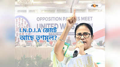 ‘আমি তৈরি করেছি...ভোটের পর দেখে নেব!’ INDIA জোট প্রসঙ্গে কী বললেন মমতা?