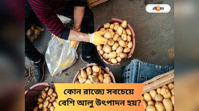 Potato Production: পুষ্টিগুণে ঠাসা! কোন রাজ্য আলু উৎপাদনে সবচেয়ে এগিয়ে? বাংলার স্থান কত নম্বরে?