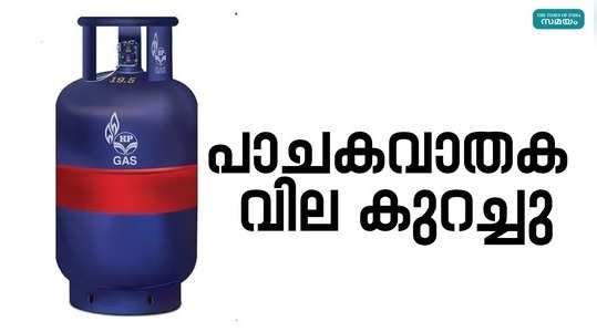 commercial cooking gas price reduced rs 3050