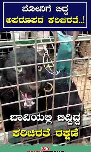 rescue of black panther which fell in well near mangaluru