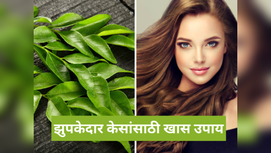 Hair Care Tips: जमिनीला स्पर्श करणाऱ्या झुपकेदार केसांसाठी, हा हिरवागार पाला करेल मदत