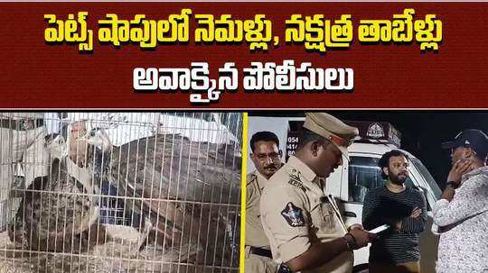 man arrested for selling peacocks and turtles in a pet shop in visakhapatnam