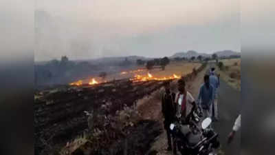 Betul News: नरवाई की आग में जिंदा जला 60 साल का वृद्ध, खेत मालिक पर पुलिस ने दर्ज किया FIR