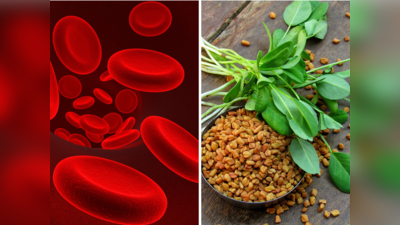 Ayurvedic Remedies For Anemia: न सिरप-न गोली, नसों में खून ही खून भर देंगी किचन में रखें ये 5 चीजें