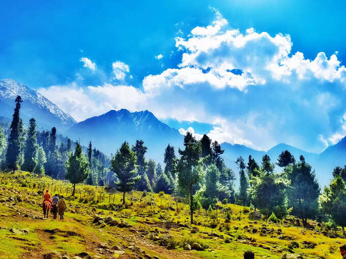 Travel in Kashmir