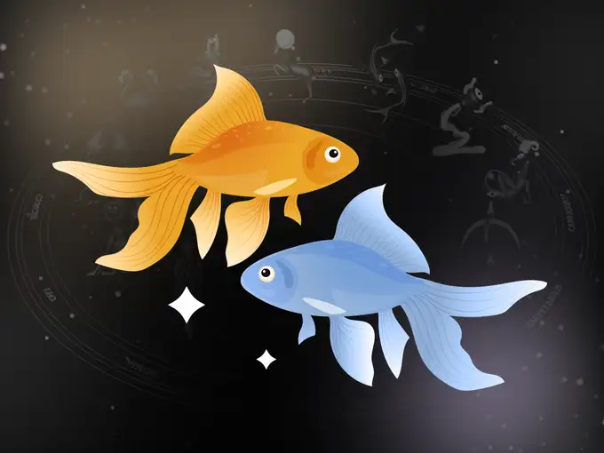 मीन - आत्मविश्वासही दुणावेल