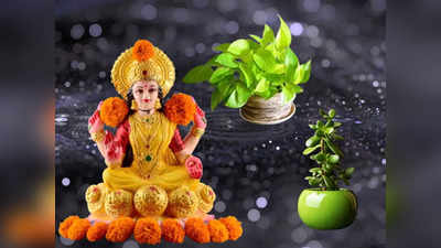 Lucky Indoor Plants for Money: ಈ 5 ಗಿಡ ಮನೆಯಲ್ಲಿದ್ರೆ ಲಕ್ಷ್ಮಿ ಕೃಪೆ.. ಹಣದ ಹರಿವು!