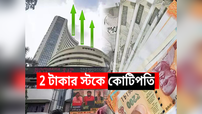 Multibagger Stock: 2 টাকার স্টকে 16,000 শতাংশ রিটার্ন! 4 বছরে কোটিপতি লগ্নিকারী