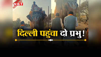 प्रभु! दिल्ली पहुंचा दो...दमोह से BJP कैंडिडेट को गजराज का सहारा, राह चलते हाथी से मांगा दिल्ली पहुंचने का आशीर्वाद