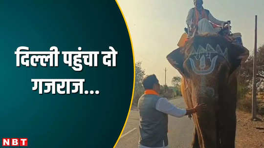 bjp candidate was supported by elephant bowed to gajraj and said please take him to delhi